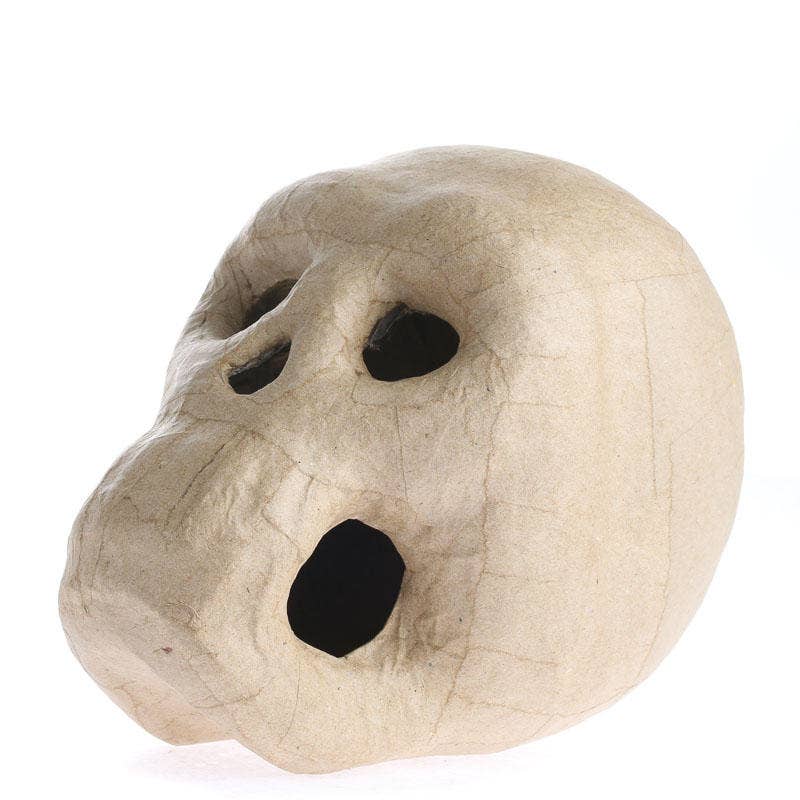 Life Sized Paper Mache Skulls - 10" x 6" x 8"