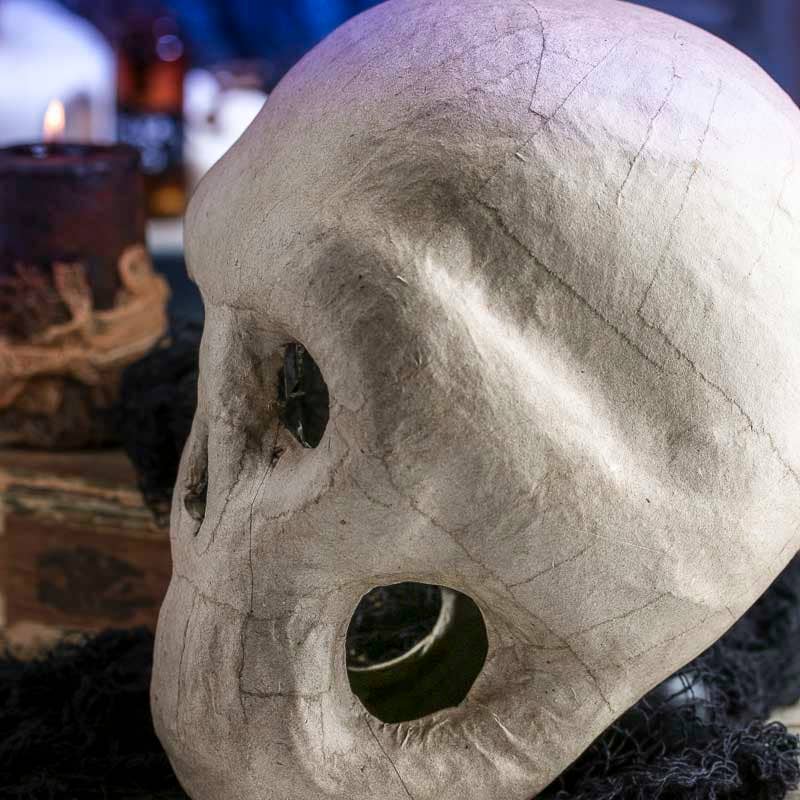 Life Sized Paper Mache Skulls - 10" x 6" x 8"