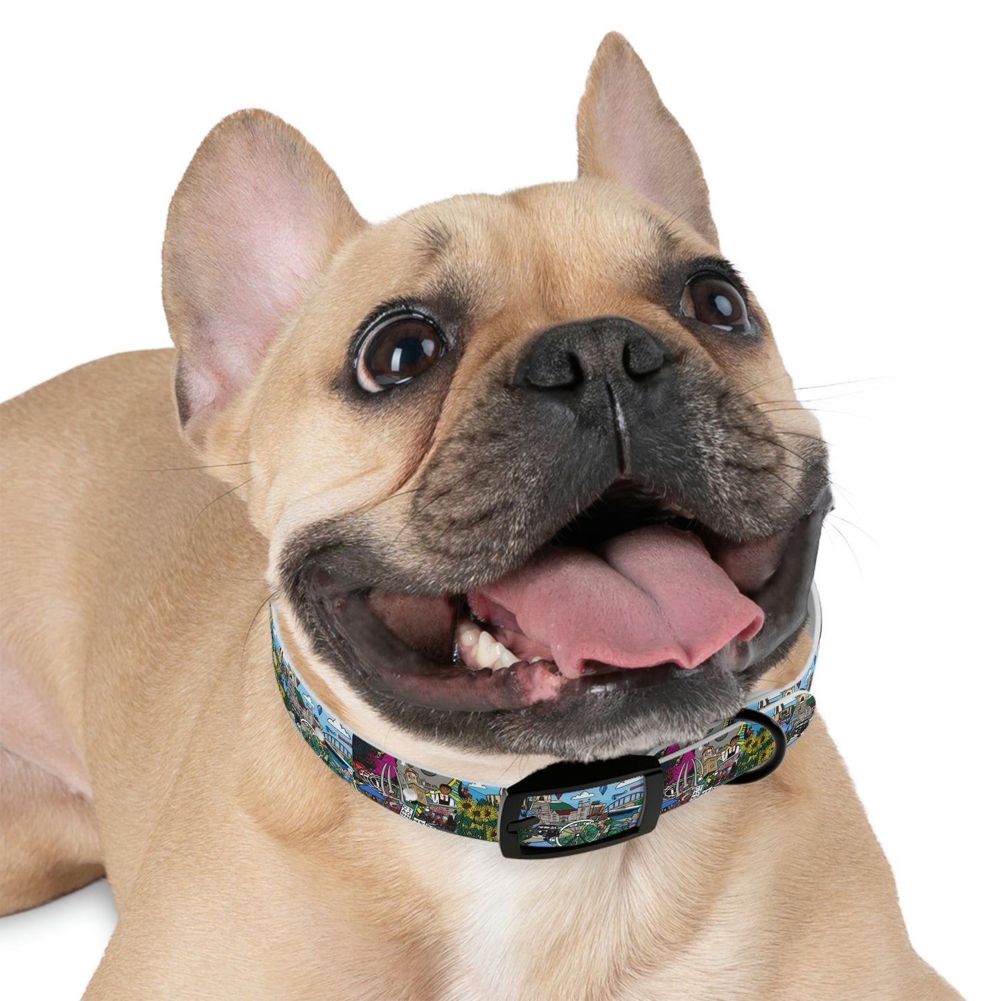 Stark County Dog Collar