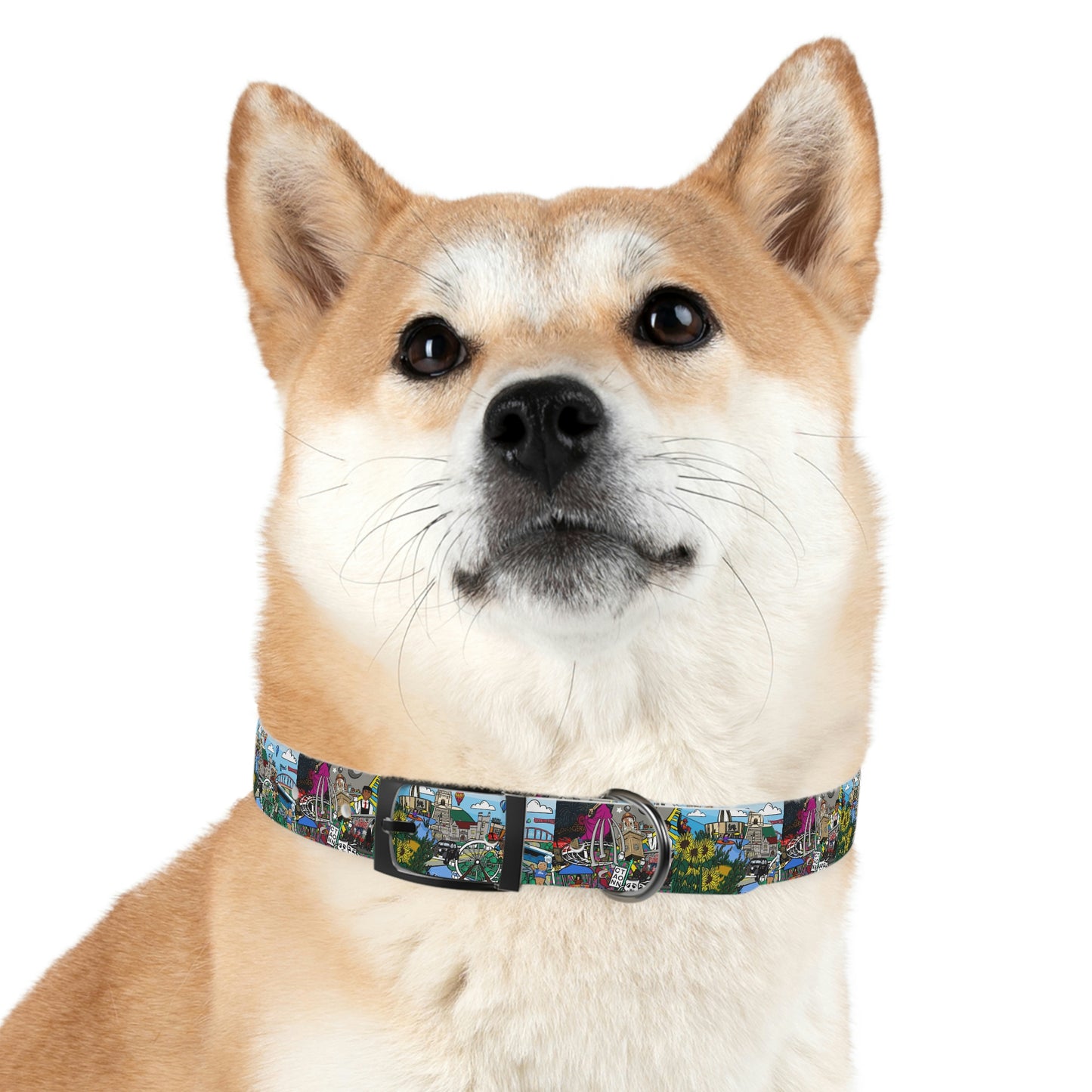 Stark County Dog Collar