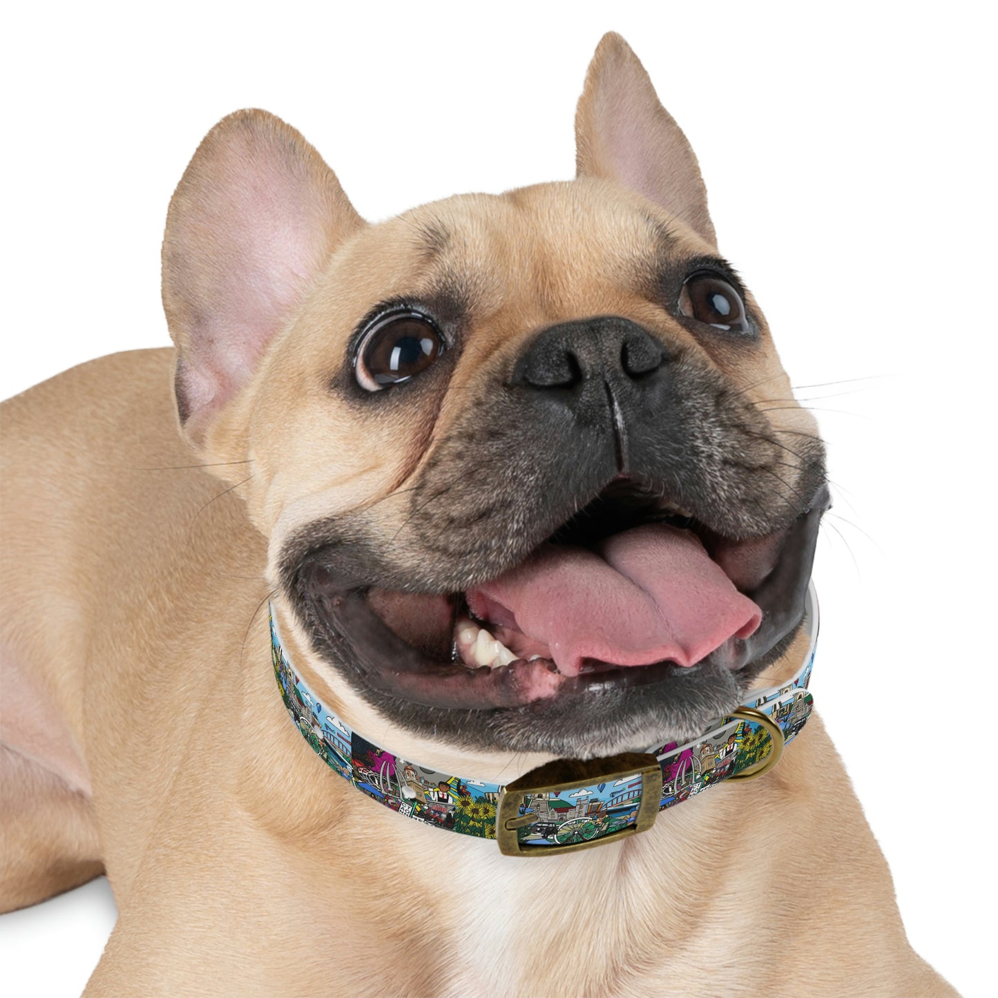 Stark County Dog Collar