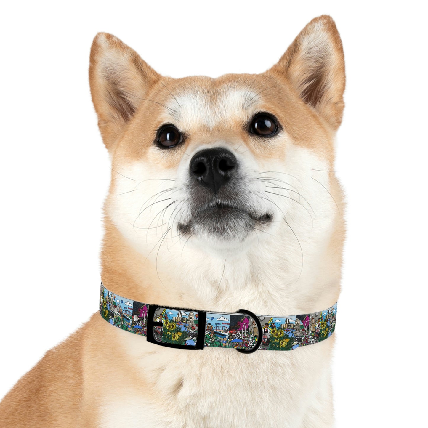 Stark County Dog Collar