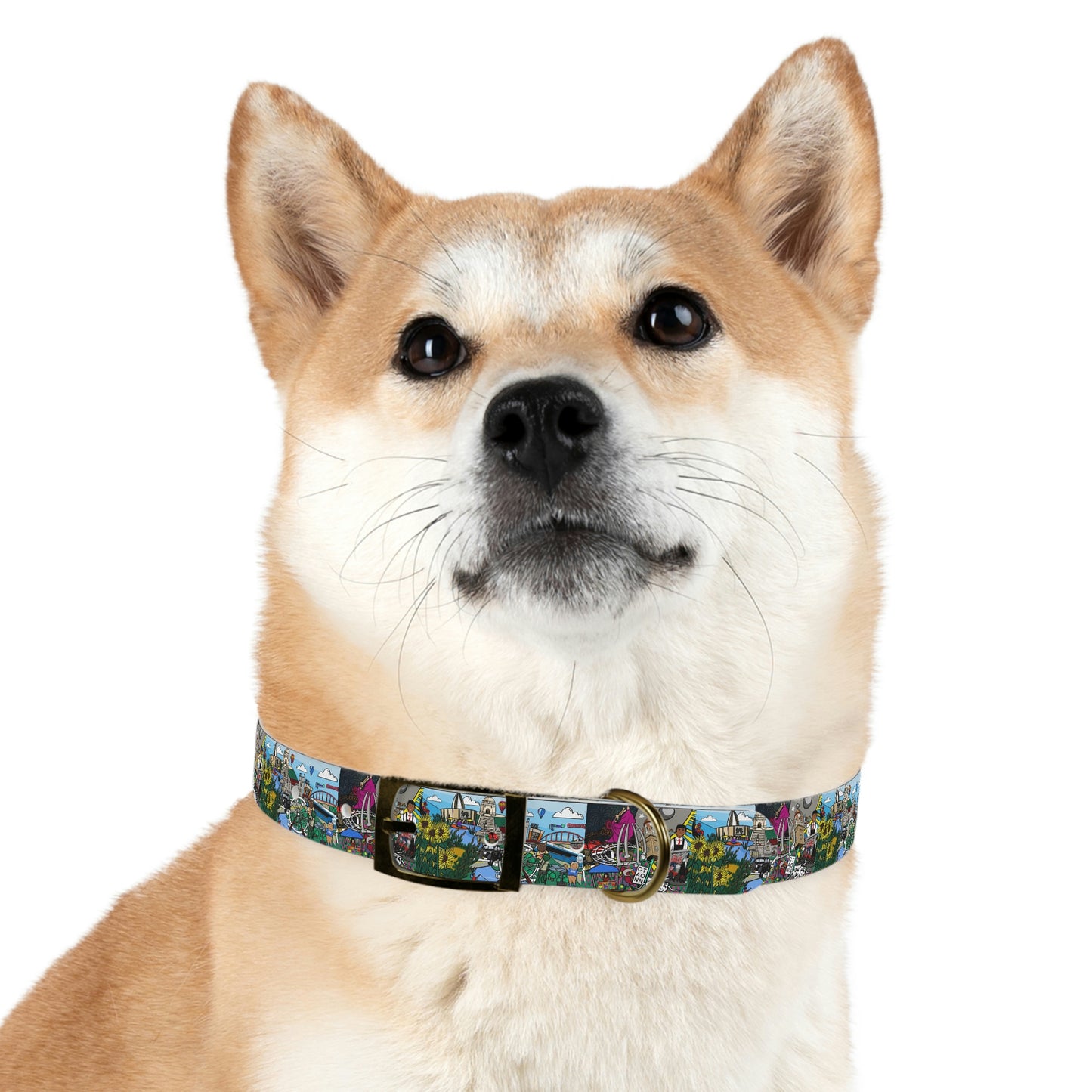 Stark County Dog Collar