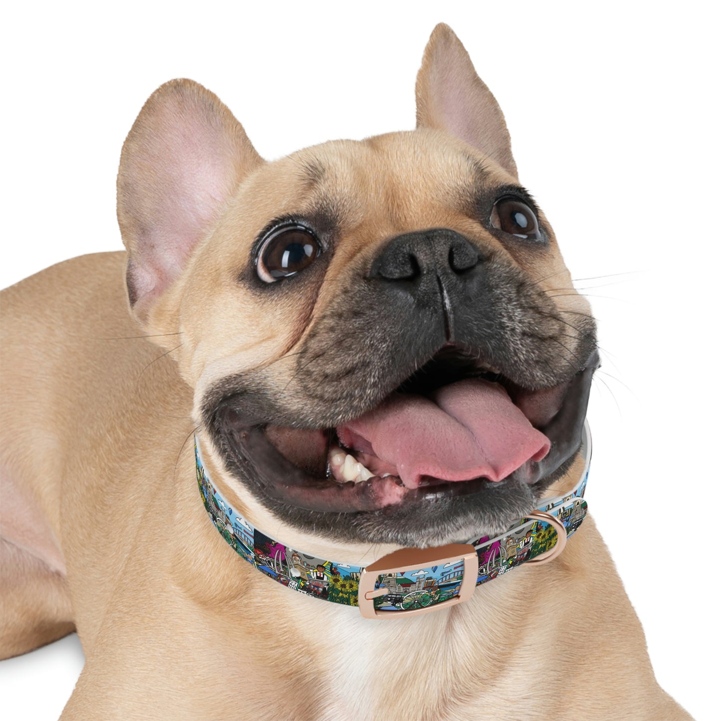 Stark County Dog Collar