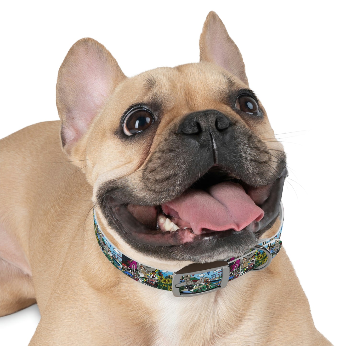 Stark County Dog Collar